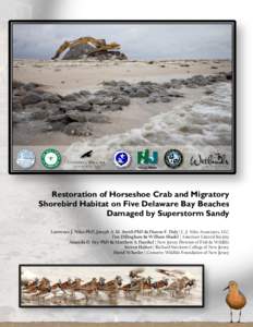 Restoration of Horseshoe Crab and Migratory Shorebird Habitat on Five Delaware Bay Beaches Damaged by Superstorm Sandy Lawrence J. Niles PhD, Joseph A. M. Smith PhD & Dianne F. Daly | L. J. Niles Associates, LLC Tim Dill