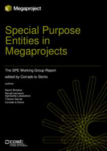Special Purpose Entities in Megaprojects The SPE Working Group Report edited by Corrado lo Storto authors: