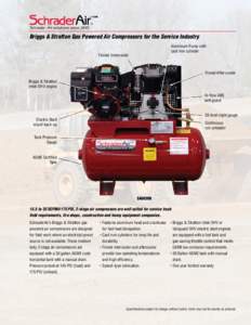 Schrader - Air solutions since 1845  ™ Briggs & Stratton Gas Powered Air Compressors for the Service Industry Aluminum Pump with