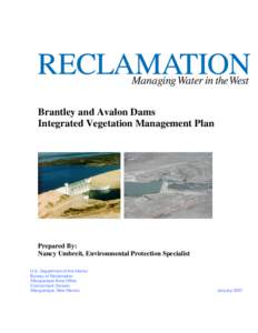 Brantley and Avalon Dams Integrated Vegetation Management Plan Prepared By: Nancy Umbreit, Environmental Protection Specialist U.S. Department of the Interior