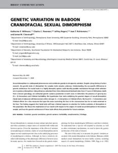 GENETIC VARIATION IN BABOON CRANIOFACIAL SEXUAL DIMORPHISM