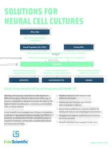SOLUTIONS FOR NEURAL CELL CULTURES iPSCs/ESCs PRIME-XV Neural Basal Medium + Growth factors