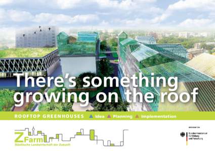 There’s something growing on the roof Rooftop greenhouses  Idea  Planning  Implementation