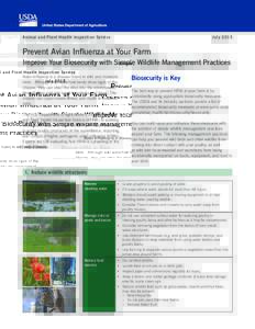 Animal and Plant Health Inspection Service 	  July 2015 Prevent Avian Influenza at Your Farm Improve Your Biosecurity with Simple Wildlife Management Practices