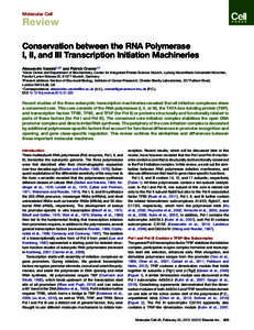 Conservation between the RNA Polymerase I, II, and III Transcription Initiation Machineries