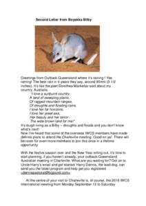 Second Letter from Boyakka Bilby  Greetings from Outback Queensland where it’s raining ! Yes raining! The best rain in 4 years they say, around 90mminches). It’s like the poet Dorothea Mackellar said about my