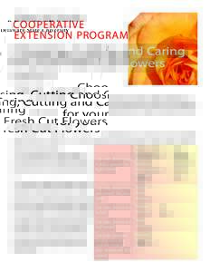 fresh cut flowers fact sheet.qxp