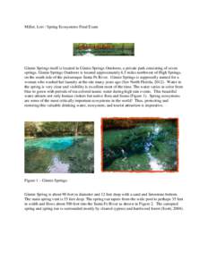 Miller, Lori / Spring Ecosystems Final Exam  Ginnie Springs itself is located in Ginnie Springs Outdoors, a private park consisting of seven springs. Ginnie Springs Outdoors is located approximately 6.5 miles northwest o