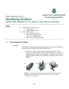 CMG GardenNotes #172  Identifying Conifers (Arborvitae, Douglas Fir, Fir, Juniper, Pine, Spruce, and Yew) Outline: