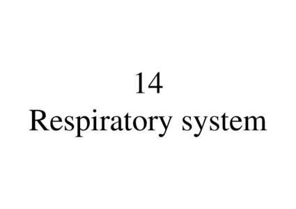 14 Respiratory system *  *