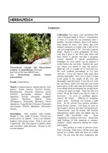 HERBALPEDIA PARSLEY Petroselinum crispum and Petroselinum crispum var neapolitanum (flat leaf) [pet-roh-sel-EE-num KRISP-um)]
