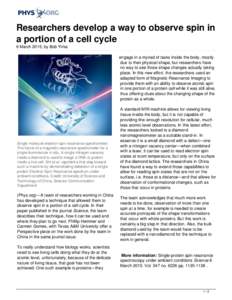 Researchers develop a way to observe spin in a portion of a cell cycle