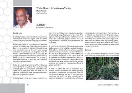 White Flowered Cardamom Variety Plant Variety National First