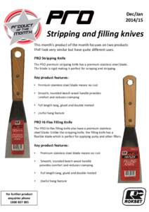 Microsoft PowerPoint - 3 Pro Stripping and Filling knives