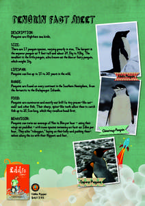 PENGUIN FACT SHEET DESCRIPTION: Penguins are flightless sea birds. SIZE: There are 17 penguin species, varying greatly in size. The largest is the emperor penguin at 4 feet tall and about 29.5kg to 43kg. The
