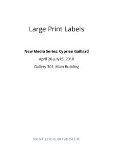 Large Print Labels New Media Series: Cyprien Gaillard April 20-July15, 2018 Gallery 301, Main Building  Cyprien Gaillard