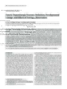 1330 • The Journal of Neuroscience, February 11, 2004 • 24(6):1330 –1339  Behavioral/Systems/Cognitive Enteric Dopaminergic Neurons: Definition, Developmental Lineage, and Effects of Extrinsic Denervation