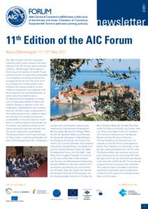 newsletter 11 Edition of the AIC Forum th