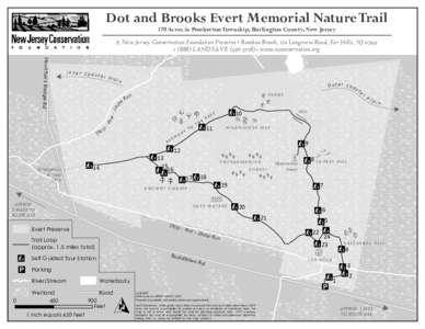 Dot and Brooks Evert Memorial Nature Trail 170 Acres in Pemberton Township, Burlington County, New Jersey A New Jersey Conservation Foundation Preserve Bamboo Brook, 170 Longview Road, Far Hills, NJ[removed]LANDSAV