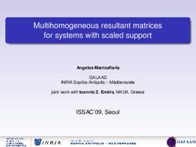 Multihomogeneous resultant matrices for systems with scaled support Angelos Mantzaflaris GALAAD ´