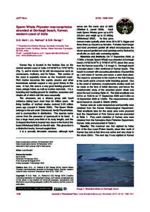 JoTT Note	  2(12): [removed]Sperm Whale Physeter macrocephalus stranded at Devbagh beach, Karwar,