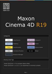 Maxon Cinema 4D R19 Categories White Light blue Yellow
