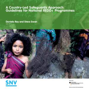 A Country-Led Safeguards Approach: Guidelines for National REDD+ Programmes Daniela Rey and Steve Swan July 2014  Acknowledgements