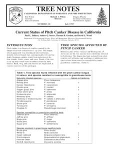 TREE NOTES CALIFORNIA DEPARTMENT OF FORESTRY AND FIRE PROTECTION Richard A. Wilson Director  Pete Wilson