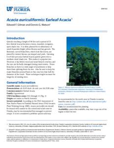 ENH163  Acacia auriculiformis: Earleaf Acacia1 Edward F. Gilman and Dennis G. Watson2  Introduction