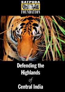 Defending the Highlands of Central India 1