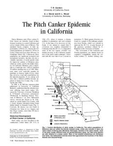 T. R. Gordon University of California, Davis A. J. Storer and D. L. Wood University of California, Berkeley  The Pitch Canker Epidemic