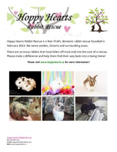 Hoppy Hearts Rabbit Rescue is a Non-Profit, domestic rabbit rescue founded in FebruaryWe serve London, Ontario and surrounding areas. There are so many rabbits that have fallen off track and into the care of a res