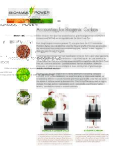 Renewable energy / Bioenergy / Carbon dioxide / Biomass / Alternative energy / Biofuel / Carbon neutrality / Fossil fuel / Biomass heating system / Bio-energy with carbon capture and storage
