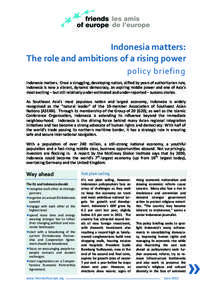 Indonesia matters: The role and ambitions of a rising power policy briefing Indonesia matters. Once a struggling, developing nation, stifled by years of authoritarian rule, Indonesia is now a vibrant, dynamic democracy, 