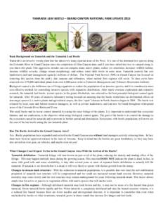 TAMARISK LEAF BEETLE – GRAND CANYON NATIONAL PARK UPDATEBasic Background on Tamarisk and the Tamarisk Leaf Beetle Tamarisk is an invasive woody plant that has taken over many riparian areas of the West. It is on