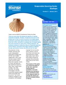 Responsible Sourcing Guide: Scallops 2013