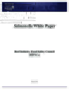 Salmonella_White Paper.indd