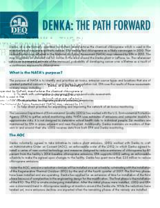 denka_the path forward_background