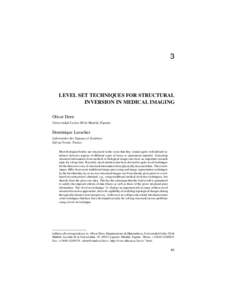 3  LEVEL SET TECHNIQUES FOR STRUCTURAL INVERSION IN MEDICAL IMAGING Oliver Dorn Universidad Carlos III de Madrid, Espa˜na