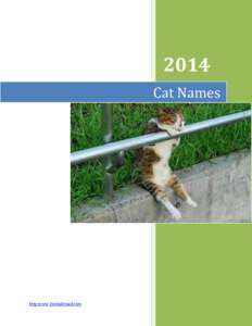 2014 Cat Names http:www.timbuktoad.com  Cat Names