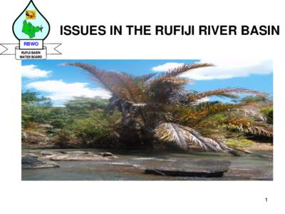 ISSUES IN THE RUFIJI RIVER BASIN RBWO 1  Outline