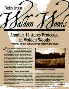 Notes from  THE ANNUAL NEWSLETTER OF THE WALDEN WOODS PROJECT & THE THOREAU INSTITUTE AT WALDEN WOODS[removed]Another 11 Acres Protected in Walden Woods