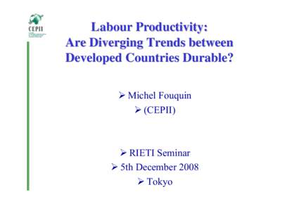 Labour Productivity: Are Diverging Trends between Developed Countries Durable? ¾ Michel Fouquin ¾ (CEPII)
