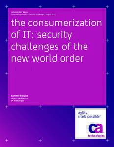 the consumerization of IT: security challenges of the new world order