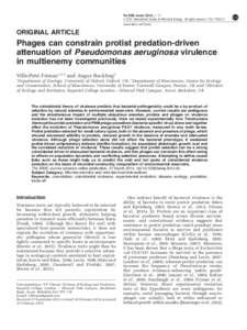 Phages can constrain protist predation-driven attenuation of Pseudomonas aeruginosa virulence in multienemy communities
