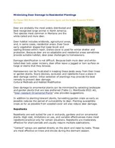 Minimizing Deer Damage to Residential Plantings By Chester Hill, Roosevelt County Extension Agent; and Jim Knight, Extension Wildlife Specialist Deer are probably the most widely distributed and best recognized large ani