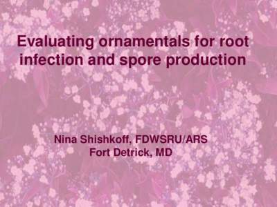 Evaluating ornamentals for root infection and spore production Nina Shishkoff, FDWSRU/ARS Fort Detrick, MD
