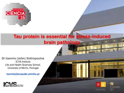 Tau protein is essential for stress-induced brain pathology Dr Ioannis (John) Sotiropoulos ICVS Institute Life and Health Sciences School,