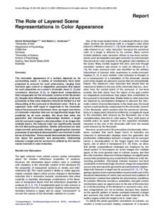 The Role of Layered Scene Representations in Color Appearance