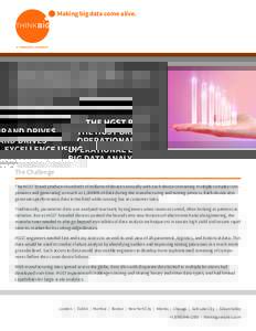 The HGST Brand Drives Operational Excellence Using Big Data Analytics